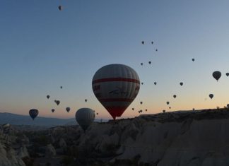 Vibrant Events and New Releases