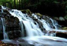 Smyrna The Martyr Church