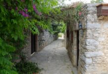 A Chapel Built for Love