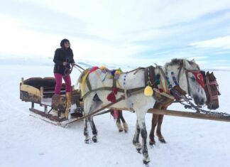 The Second Problem The Error of the Nicolaitans