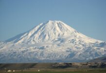 The Book of Revelation and the Second Coming