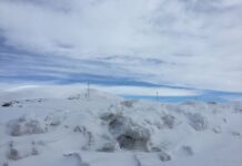 King Boris and the Central European Powers