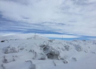 King Boris and the Central European Powers