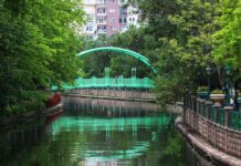 The Persian View of the Conflict with Greece