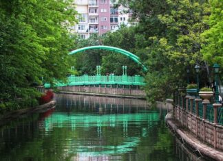 The Persian View of the Conflict with Greece