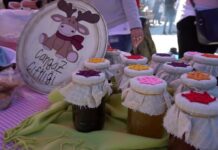 Questions About Life and Food