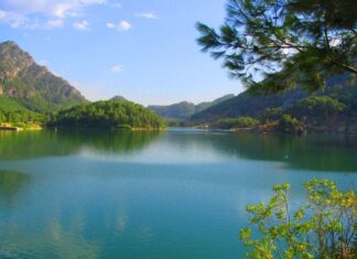 The Oracle’s Message Changes the Course of War