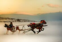 Questioning the Ionian View of Egypt